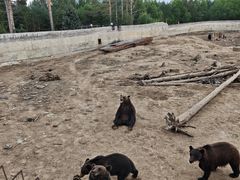 -北极村旅游风景区
