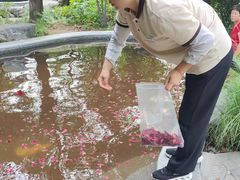 -太白山御龙湾温泉