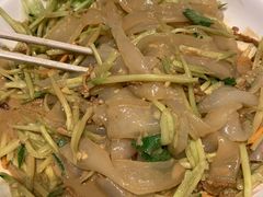 东北大拉皮-燕郊烧鸽子(广安路店)