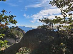 -六里坪国家森林公园
