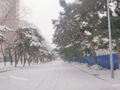 -东北大学(南湖校区)