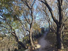 -阳台山自然风景区