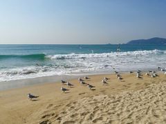 -海云台海滩