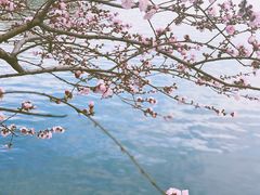 -颐和园