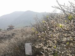 -广州市流溪河国家森林公园