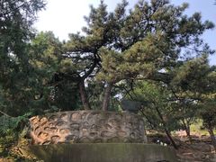 -北京鹫峰国家森林公园