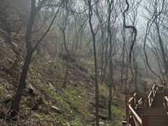 -大岭沟猕猴桃谷风景区