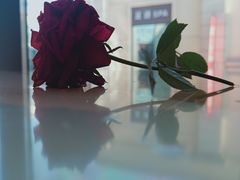 -成都你六姐·牛肉冒菜·麻辣香锅(长泰广场店)