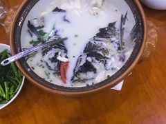 -全乐鱼馆·淳牌有机鱼直营店