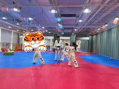 -陈中跆拳道(中关村馆)