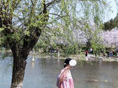 -堤角公园