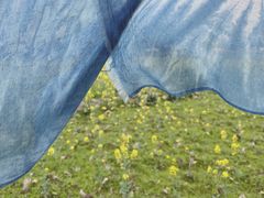 -高荡千年布依古寨旅游景区