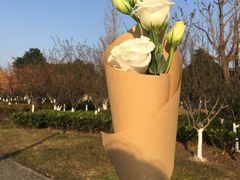 -鲜果壹号(中央景城店)