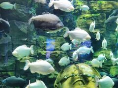 -成都浩海立方海洋公园