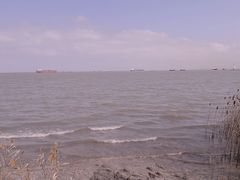 -上海吴淞炮台湾国家湿地公园