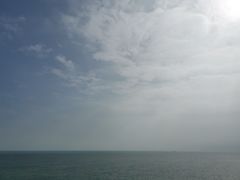 -广东惠东海龟国家级自然保护区