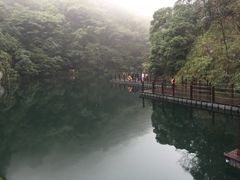-祁门牯牛降观音堂风景区