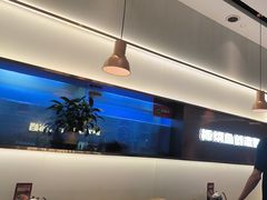 -老板恋上鱼(印象城店)