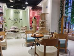 大堂-藏猫猫咖啡主题馆(中央大道店)