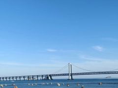-星海湾跨海大桥