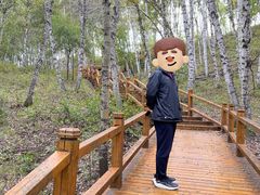 -塞罕坝国家级自然保护区