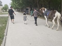 -北京群众马术培训基地