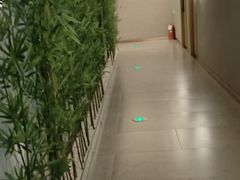 -星河湾温泉洗浴酒店