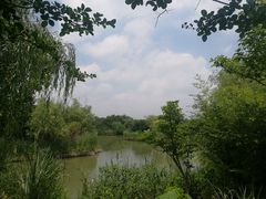 -梁鸿国家湿地公园
