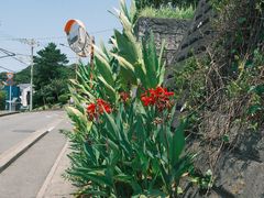 -灌篮高手动画打卡地