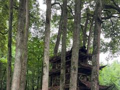 -青城山