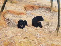 -泉州海丝野生动物世界