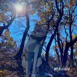 京郊最轻松的一次爬山[调皮]