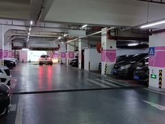 -复旦软件园·智慧新天地-停车场