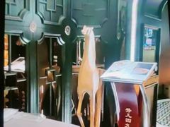 -秀儿四九城·新京菜(亚运村鸟巢店)