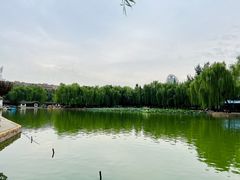 -团结湖公园