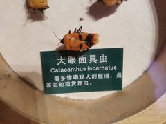 -陕西自然博物馆