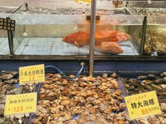 -尖沙咀大酒楼(罗村店·粤菜海鲜·宴会聚餐)