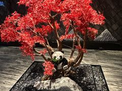 -红辣椒·川菜·火锅(大洋中心店)