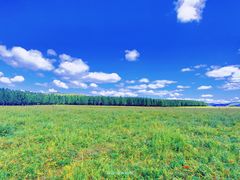 -塞罕坝国家级自然保护区