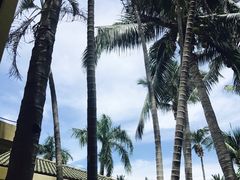 -三亚亚龙湾天域度假酒店