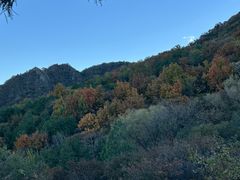 -阳台山自然风景区