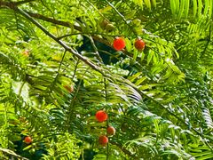 -东天目山风景区