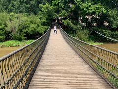 -南宁良凤江国家森林公园