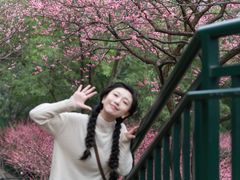 -重庆彩云湖湿地公园