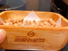 盐爆花生米-鼎原力量东北吊炉烧烤(幸福街店)