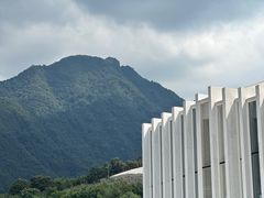 -中国宣纸文化园