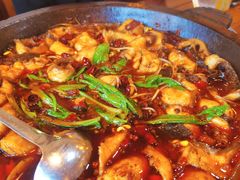 麻辣石锅鱼-都江堰石锅鱼