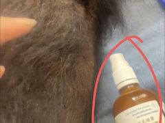 -喵汪宠物生活馆(涞坊路店)