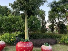 景点-佛冈森波拉度假区