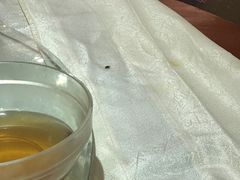 -新粤新疆菜清真餐厅(拱北店)